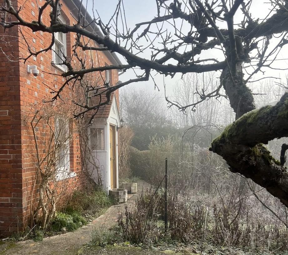 Enero: Una temporada de sencillez introspectiva