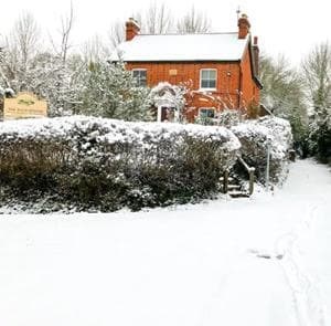 Enero: Una temporada de sencillez introspectiva - Imagen 1