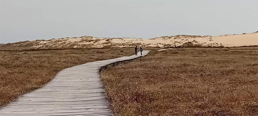 LAS ENSEÑANZAS DE LOS REMEDIOS