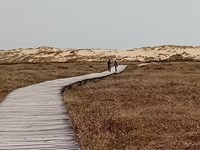 LAS ENSEÑANZAS DE LOS REMEDIOS