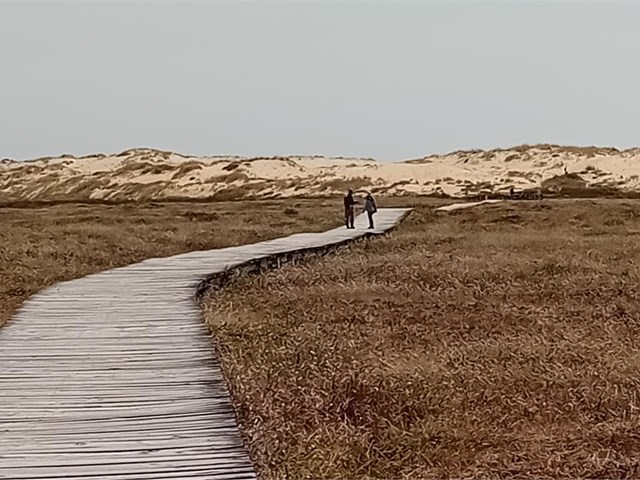 LAS ENSEÑANZAS DE LOS REMEDIOS